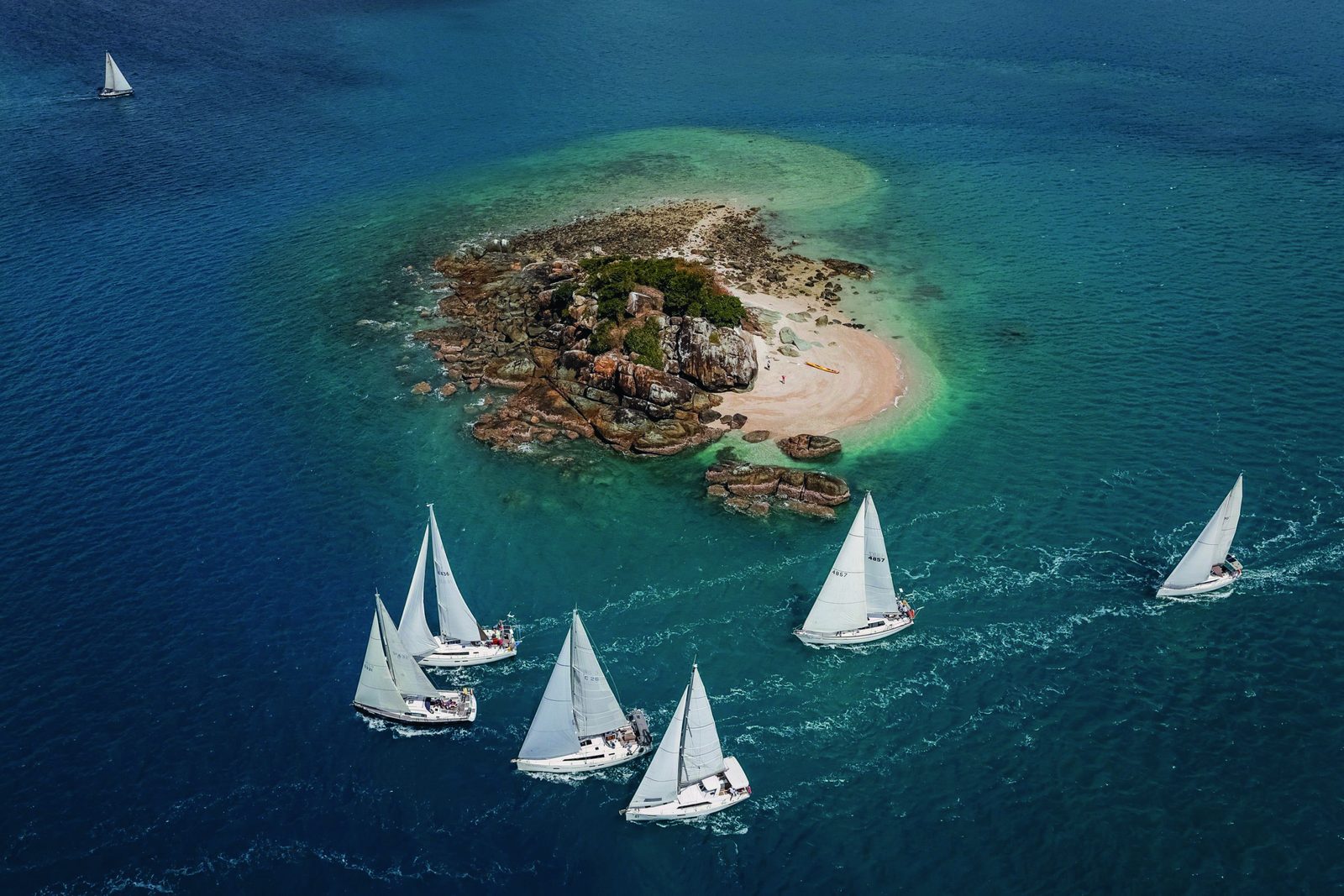 Aerial view of sailboats racing past a small island in the Whitsundays